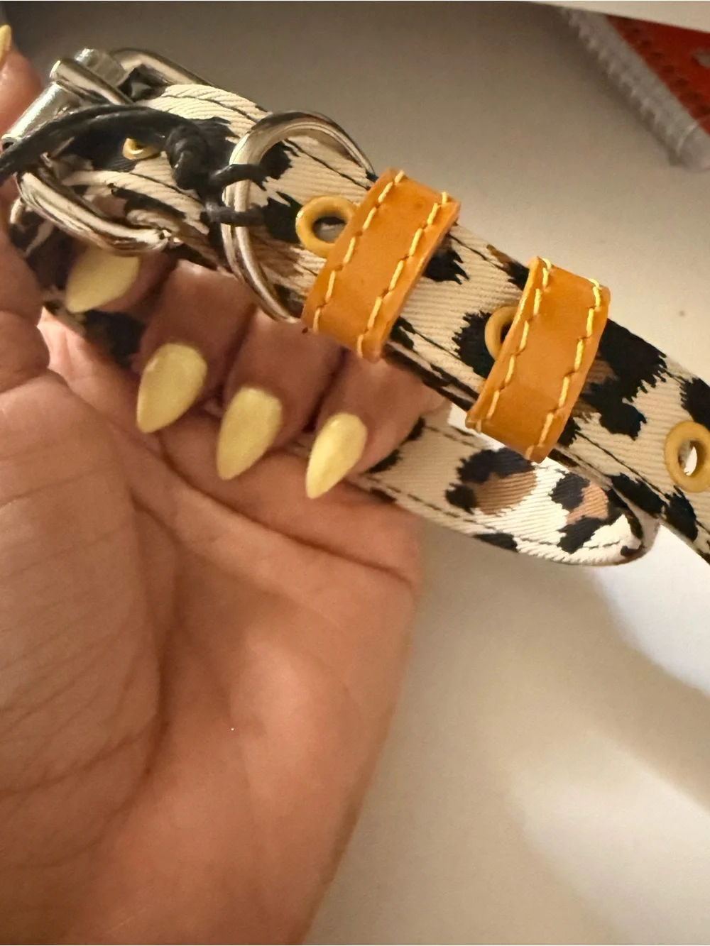Ware of the Dog from Saks Fifth Avenue Leopard-Print Dog Collar